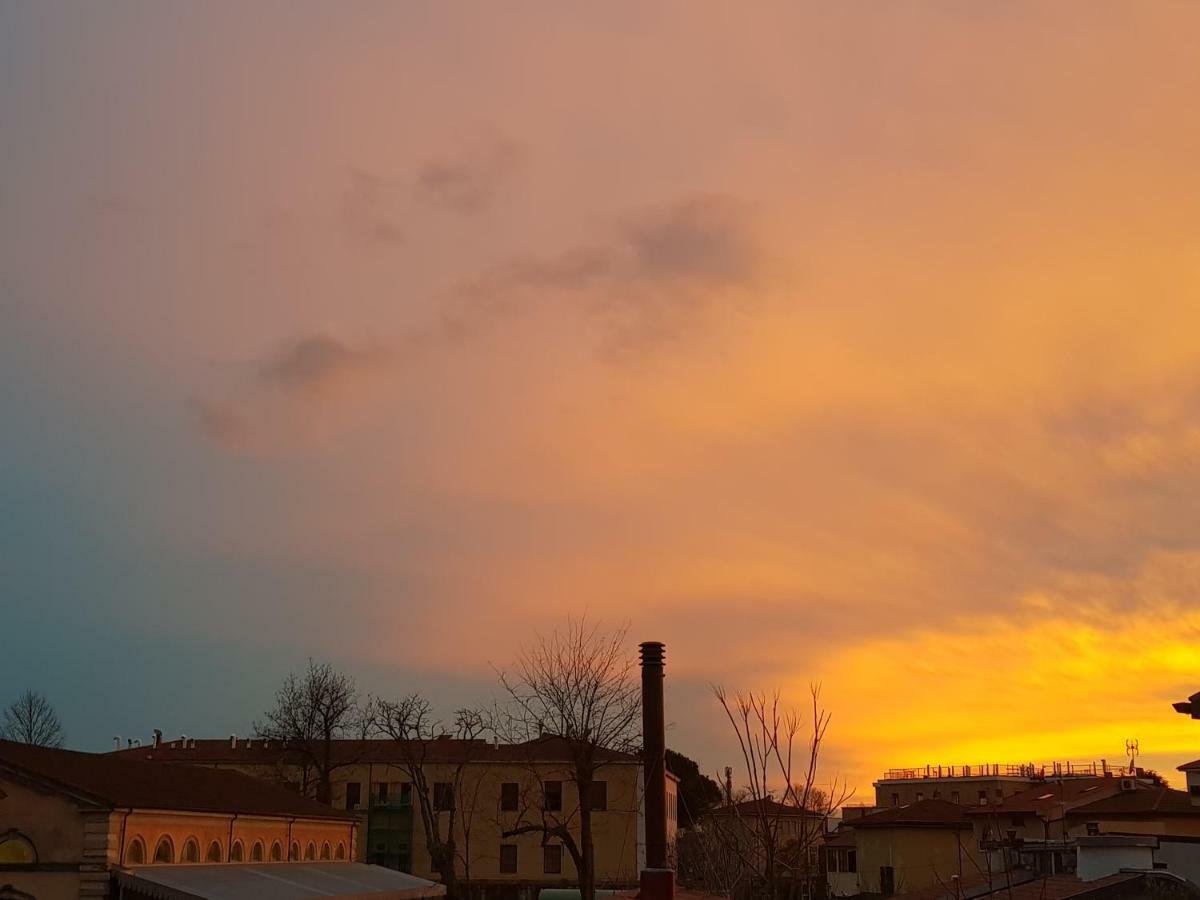 Lejlighed L&g's Roof Terrace Pisa